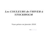 Les COULEURS de l’HIVER à STOCKHOLM Vues prises en janvier 2010 Site: SAYRACSAYRAC.