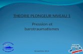 Pression et barotraumatismes THEORIE PLONGEUR NIVEAU 1 Novembre 2013.