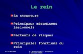 Le 14/05/2009 X. Moreau Gaudry - Information médicale AGDUC 1 Le rein Sa structure Principaux mécanismes lésionnels Facteurs de risques Principales fonctions.