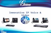 Innovative IP Voice & Video. Introduction UCM6100 Aperçu de la société et portefeuille produits UCM6100 Caractéristiques et positionnement UCM6100 LAB.