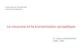 Université de Nouakchott Faculté de Médecine Pr. Saloua JAMELEDDINE 2008 - 2009 Le neurone et la transmission synaptique.