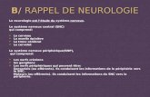 B/ RAPPEL DE NEUROLOGIE La neurologie est l’étude du système nerveux. Le système nerveux central (SNC) qui comprend:   Le cerveau   La moelle épinière.