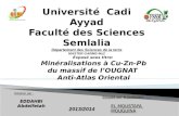 Encadré par le professeur : Réalisé par : EDDAHBI Abdelfetah 2013/2014 Université Cadi Ayyad Faculté des Sciences Semlalia Département des Sciences de.