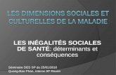 LES INÉGALITÉS SOCIALES DE SANTÉ: déterminants et conséquences Séminaire DES SP du 25/01/2010 Quang-Bao Phan, interne SP Rouen.