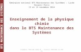 BTS MAINTENANCE DES SYSTÈMES Séminaire national BTS Maintenance des Systèmes – Lycée Raspail Paris 13 et 14 novembre 2014 Frédéric THOLLON IGEN PC – Francis.