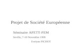 Projet de Société Européenne Séminaire AFETT-FEM Sevilla, 7-10 Novembre 1999 Evelyne PICHOT.