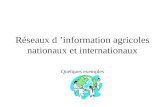 Réseaux d ’information agricoles nationaux et internationaux Quelques exemples.