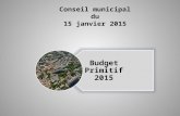 Conseil municipal du 15 janvier 2015 1 Budget Primitif 2015.