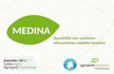 MEDINA Durabilité des systèmes alimentaires méditerranéens