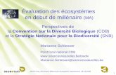 1 Évaluation des écosystèmes en début de millénaire (MA) Perspectives de la Convention sur la Diversité Biologique (CDB) et la Stratégie Nationale pour.