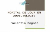 HOPITAL DE JOUR EN ADDICTOLOGIE Valentin Magnan. HOPITAL DE JOUR EN ADDICTOLOGIE La création de l’Hôpital de jour en addictologie au Centre Hospitalier.