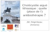 Société de Chirurgie de Lyon Cholécystite aiguë lithiasique : quelle (place de l’) antibiothérapie ? JM. Régimbeau (Amiens)