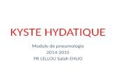 KYSTE HYDATIQUE Module de pneumologie 2014-2015 PR LELLOU Salah EHUO.
