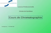 Licence Professionnelle Chimie de Synthèse Cours de Chromatographie Enseignant : Y. FRANCOIS.