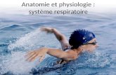 Anatomie et physiologie : système respiratoire. Fonction principale Le système respiratoire travaille conjointement avec le système circulatoire afin.