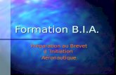 Formation B.I.A. Préparation au Brevet d ’Initiation Aéronautique.