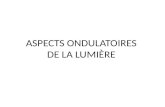 ASPECTS ONDULATOIRES DE LA LUMIÈRE. 1. Modèle ondulatoire de la lumière.