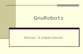 GnuRobots Retour d'expériences. Sommaire GnuRobots : compilation Les robots Les cartes Le script de tournoi La fonction de performance Le classement initial.