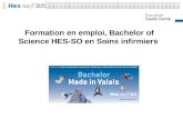 Domaine Santé-Social Formation en emploi, Bachelor of Science HES-SO en Soins infirmiers.