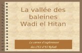La vallée des baleines Wadi el Hitan Le carnet d’explorateur des CE2 d’El Rehab.