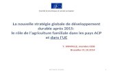 La nouvelle stratégie globale de développement durable après 2015: le rôle de l’agriculture familiale dans les pays ACP et dans l’UE Y. SOMVILLE, membre.