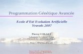 Pierre COLLET - Programmation Génétique Avancée - Ecole d'Ete Evolution Artificielle 071 Programmation Génétique Avancée Pierre COLLET Laboratoire du Littoral.