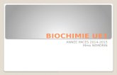 BIOCHIMIE UE1 ANNEE PACES 2014-2015 Mme NEMORIN. Plan Acides Aminés Peptides- Protéines Enzymologie Glucides et Lipides Catabolisme Glucidique Production.