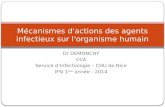 Dr DEMONCHY CCA Service d’Infectiologie – CHU de Nice IFSI 1 ère année - 2014 Mécanismes d'actions des agents infectieux sur l'organisme humain.