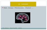 LE CANNABIS Shit,Ganja,Marijuana, Zamal … DR Lasbasses -Depis Claudine ANPAA LE CANNABIS.
