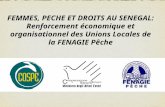 FEMMES, PECHE ET DROITS AU SENEGAL: Renforcement économique et organisationnel des Unions Locales de la FENAGIE Pêche.