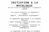 INITIATION A LA MYCOLOGIE Qu’est-ce qu’un champignon ? (= fungus ou mycète) - une plante primitive ou dégénérée ? (règne végétal : thallophytes cryptogames)