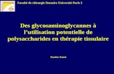Faculté de chirurgie Dentaire Université Paris 5 Des glycosaminoglycannes à l’utilisation potentielle de polysaccharides en thérapie tissulaire Karim Senni.