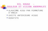 ŒIL ROUGE - DOULEUR ET VISION ANORMALES GLAUCOME AIGU PAR FERMETURE D’ANGLE UVEITE ANTERIEURE AIGUE KERATITE.