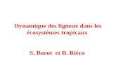 Dynamique des ligneux dans les écosystèmes tropicaux S. Barot et B. Riéra.