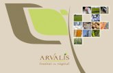 «Agroécologie » : quelle réalité, et quelle stratégie pour ARVALIS 2.