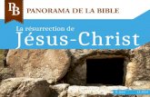 La résurrection de Jésus-Christ D. Gern12.2014 TP.