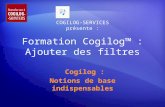 Formation Cogilog™ : Ajouter des filtres Cogilog : Notions de base indispensables COGILOG-SERVICES présente :