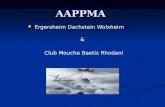 AAPPMA Ergersheim Dachstein Wolxheim Ergersheim Dachstein Wolxheim Club Mouche Baetis Rhodani &