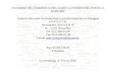 CHAMBRE DE COMMERCE BELGIQUE-LUXEMBOURG POUR LA HONGRIE Opportunités pour les entreprises Luxembourgeoises en Hongrie c/o F C C I B Avenue des Arts 1-2.