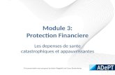 Module 3: Protection Financiere Les depenses de sante catastrophiques et appauvrissantes 1 This presentation was prepared by Adam Wagstaff and Caryn Bredenkamp.