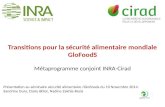 Transitions pour la sécurité alimentaire mondiale GloFoodS Métaprogramme conjoint INRA-Cirad Présentation au séminaire sécurité alimentaire /GloFoods du.
