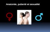Anatomie, puberté et sexualité. Objectifs : -Anatomie du corps humain -les parties du système reproducteur de l’homme -Les parties du système reproducteur.