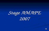 Stage AMAPE 2007. Les participants Les participants.
