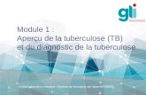 Module 1 : Aperçu de la tuberculose (TB) et du diagnostic de la tuberculose Global Laboratory Initiative –Module de formation sur Xpert MTB/RIF.