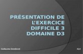 Guillaume DendievelA14. Plan de la présentation  I/ Présentation d’une feuille de calcul type  II/ Présentation de la feuille de synthèse  III/ Commentaires.