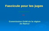 Fascicule pour les juges Questionnaire Commission GAM de la région de Namur SOL.