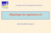 Physiologie des régulations (2) alain.hamon@univ-angers.fr L2 Sciences de la vie et géosciences semestre 4.