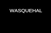 WASQUEHAL. ET SES COURS D’EAU LA MARQUE cour d’eau naturel (canalisé a partir de Wasquehal)