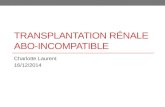 TRANSPLANTATION RÉNALE ABO-INCOMPATIBLE Charlotte Laurent 16/12/2014.