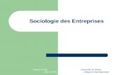 Master 2 IGIS- GEII & STIM Université de Rouen- Grégoire Khatchadourian Sociologie des Entreprises.